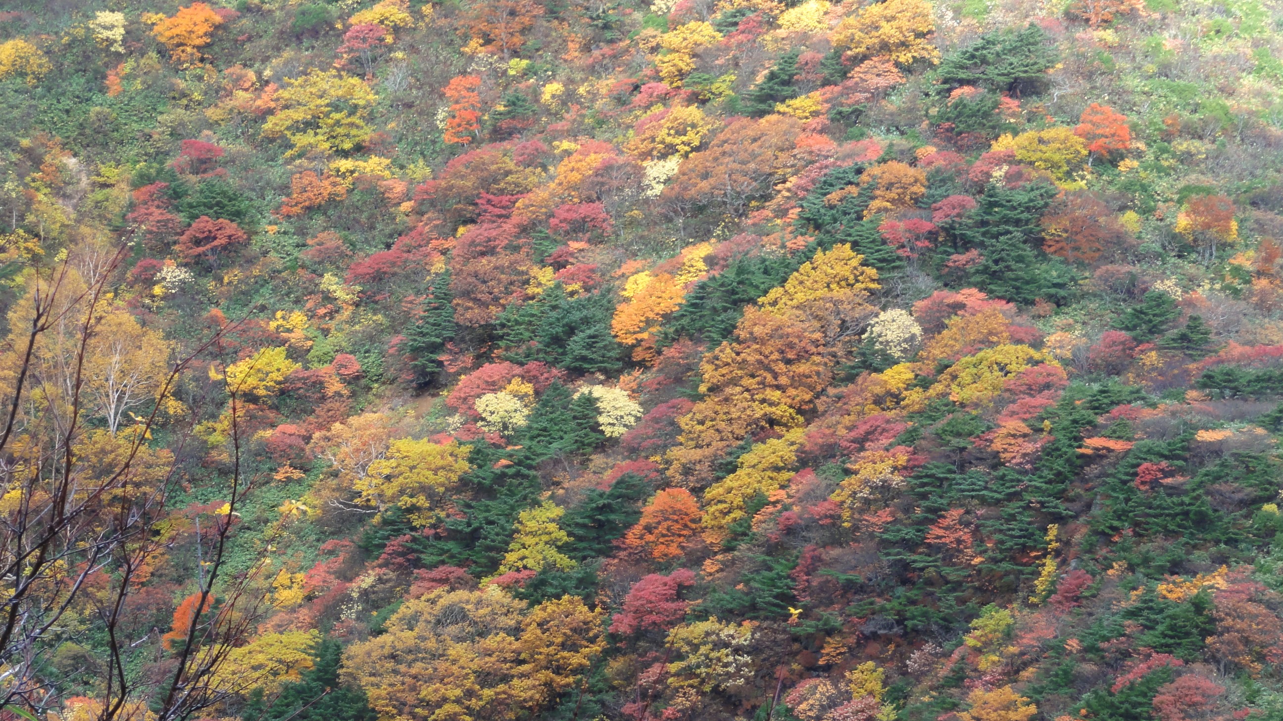 安達太良山